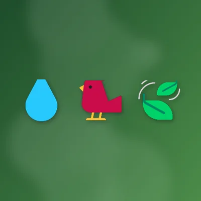Forest after Rain