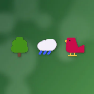 Misty Forest